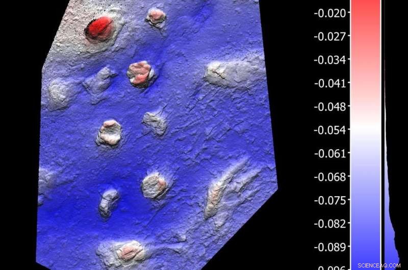 Giant Prehistoric Crocodiles Roamed Northern British Columbia - New Fossil Evidence
