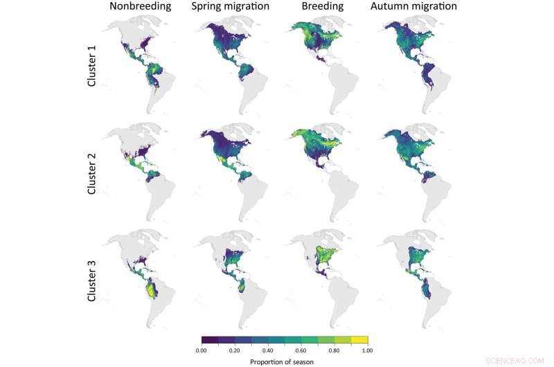 Light Pollution Impacts Bird Migration Patterns: A New Study