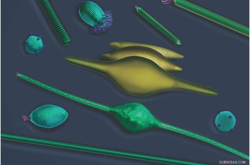 Volcanic Virus Discovery: Innovative Drug & Vaccine Delivery Methods