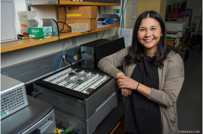 International Consortium Publishes Updated Human Genome Reference