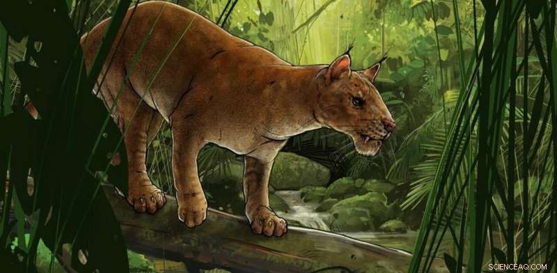 Diegoaelurus: Unearthing an Ancient Saber-Toothed Predator – Differences from Modern Cats