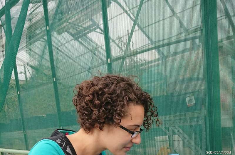 Microplastic Ingestion Hinders Mussel Growth & Reproduction - RMIT Study