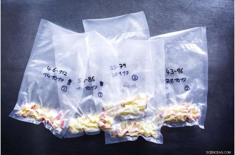 Allergy-Friendly Apples: New Varieties Coming Soon