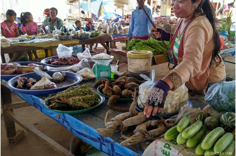 Online Wildlife Trade Surge in Myanmar: WWF Report