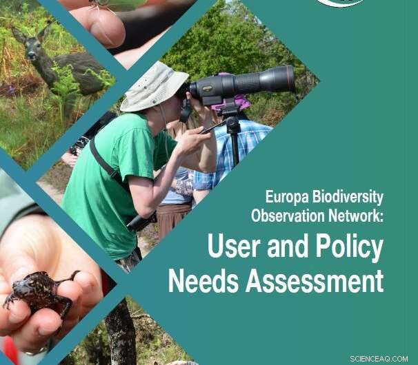 Enhancing Biodiversity Monitoring Across Europe: A User & Policy Perspective