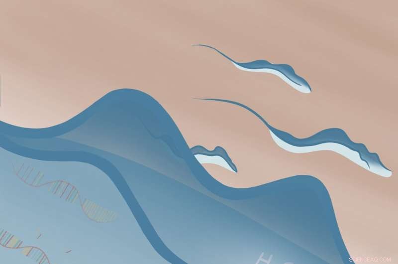 RNA Tail Protection: New Mechanism Prevents mRNA Degradation