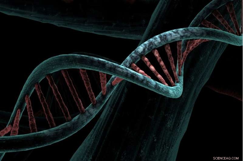 Novel DNA Repair Mechanism Discovered in Bacteria