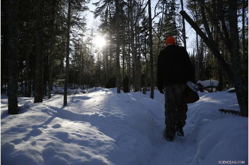 Wildlife Monitoring: Tracking COVID-19 Evolution in Animals