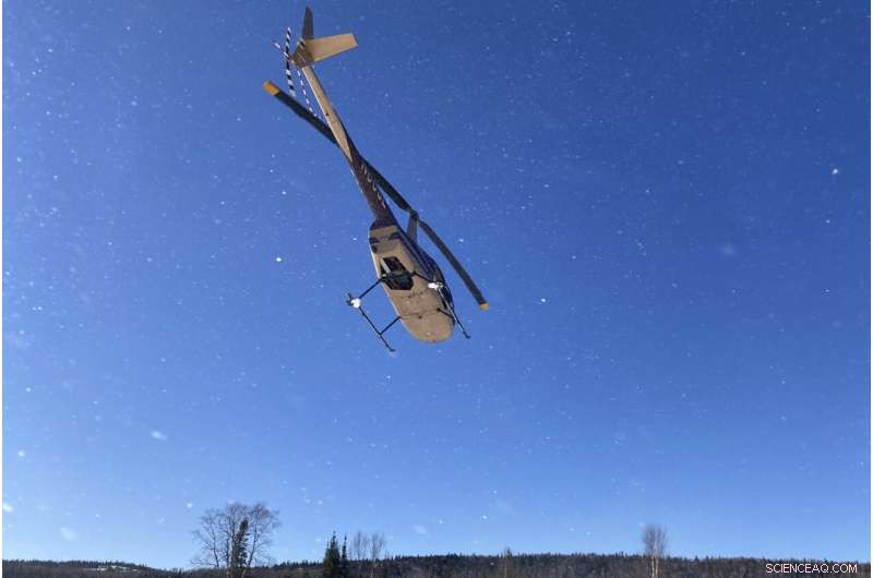 Wildlife Monitoring: Tracking COVID-19 Evolution in Animals