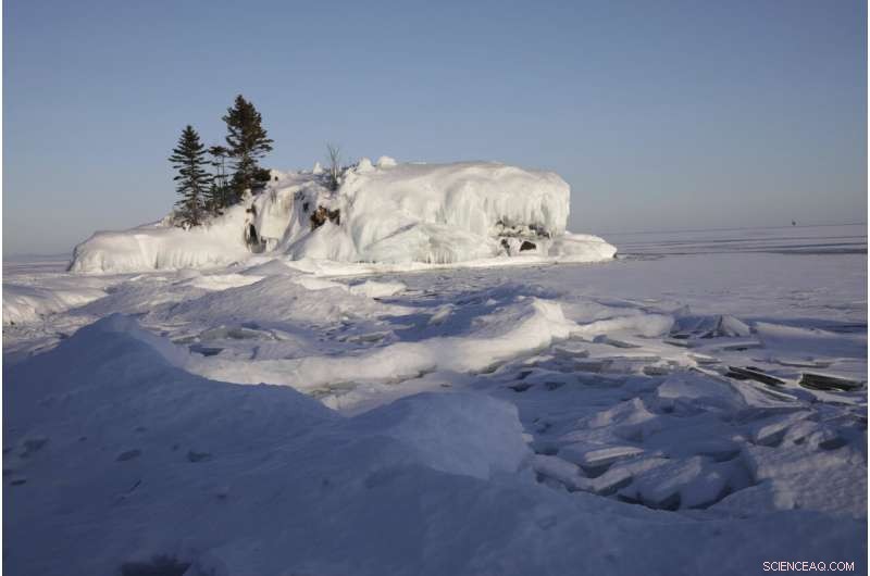 Wildlife Monitoring: Tracking COVID-19 Evolution in Animals