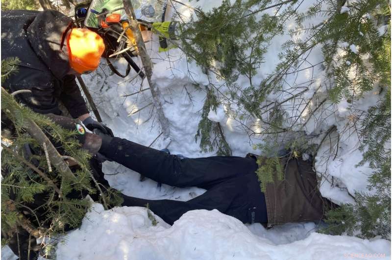 Wildlife Monitoring: Tracking COVID-19 Evolution in Animals