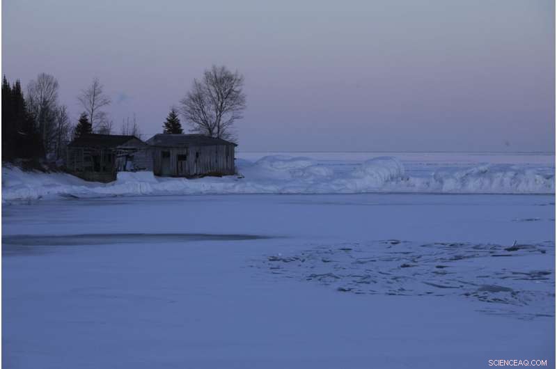 Wildlife Monitoring: Tracking COVID-19 Evolution in Animals