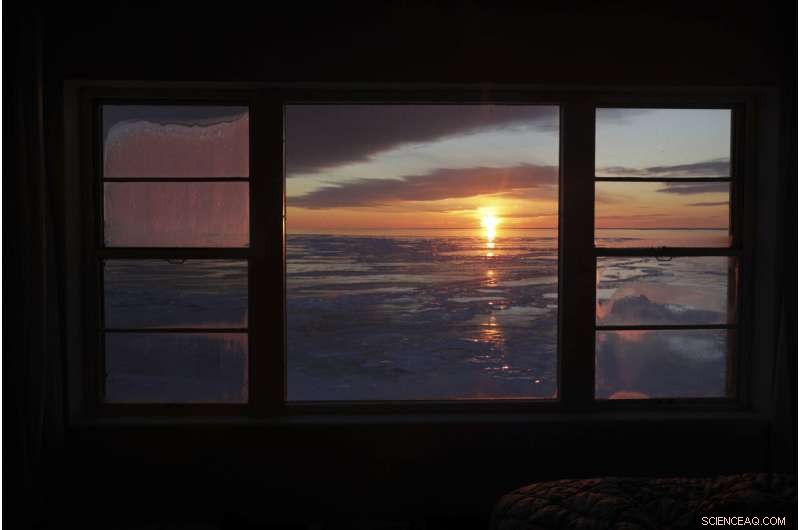 Wildlife Monitoring: Tracking COVID-19 Evolution in Animals