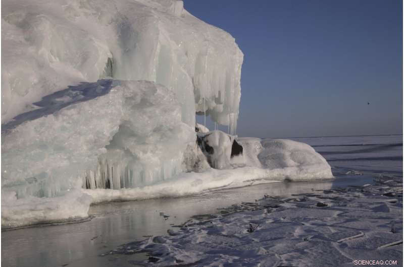 Wildlife Monitoring: Tracking COVID-19 Evolution in Animals