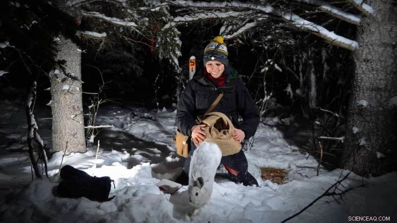 Innovative Nighttime Animal Identification Method Developed by Biologists