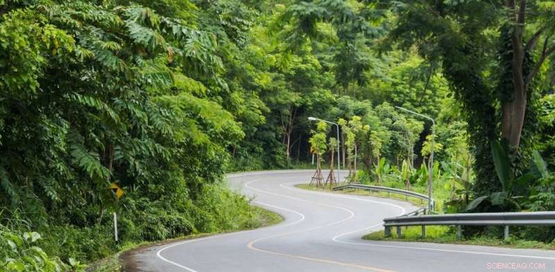 Protecting Our Nation s Roadside Trees: Ecosystem Health & Threats