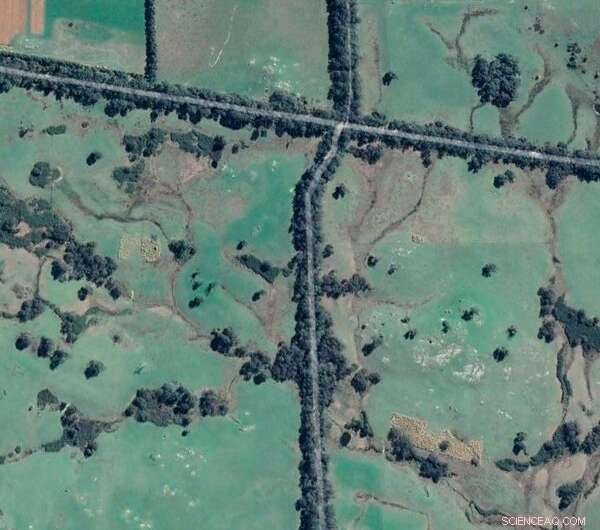 Protecting Our Nation s Roadside Trees: Ecosystem Health & Threats