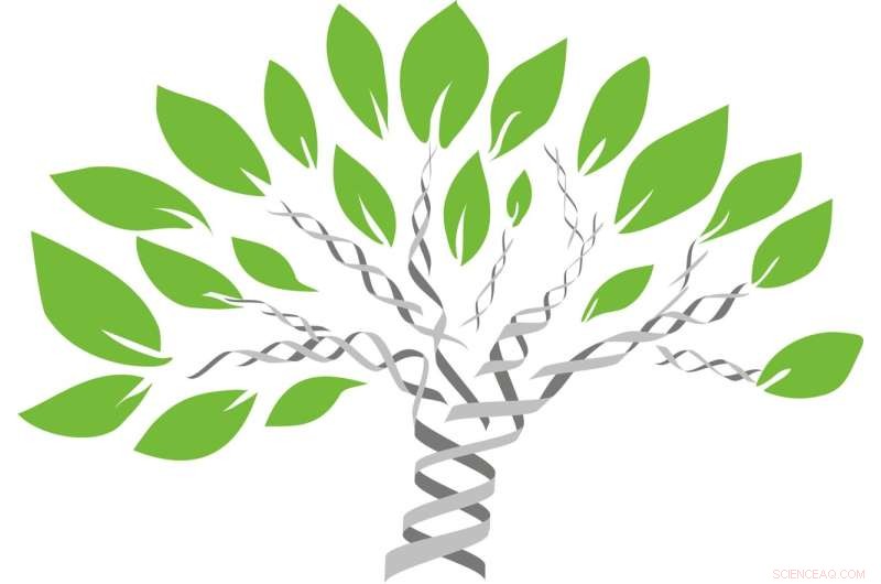 Hidden Biodiversity: New Research Reveals Thousands of Undiscovered Mammal Species