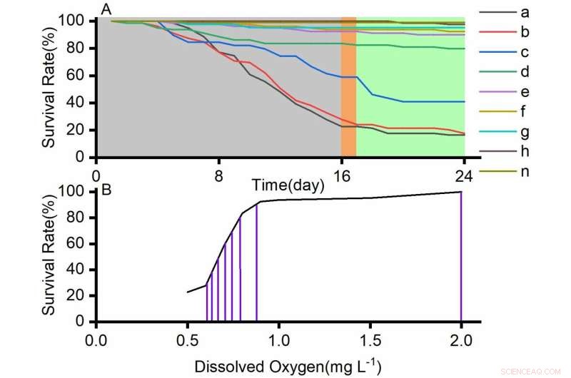 Dissolved Oxygen Threshold for Blue Mussel Survival: Research Findings
