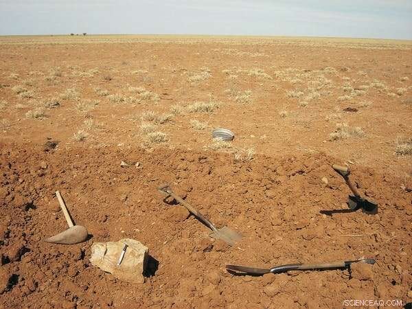 Rare Armored Dinosaur Skull Unearthed in Queensland Museum