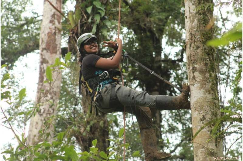 Unveiling the Dispersal Mystery of Panama s Unique Epiphytic Cycad, Zamia pseudoparasitica
