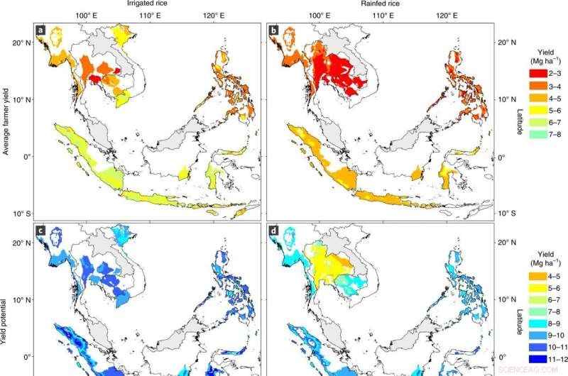 Closing Southeast Asia s Rice Yield Gap: Securing Its Global Rice Bowl Status