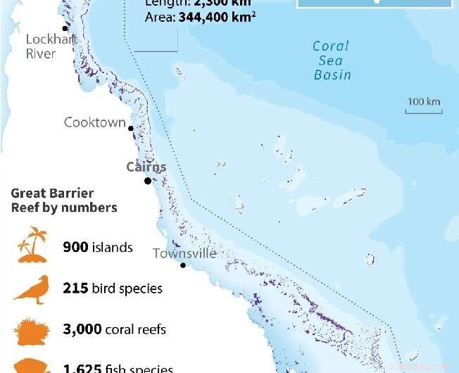 Australia Confirms Mass Coral Bleaching at Great Barrier Reef Amid Warming Seas