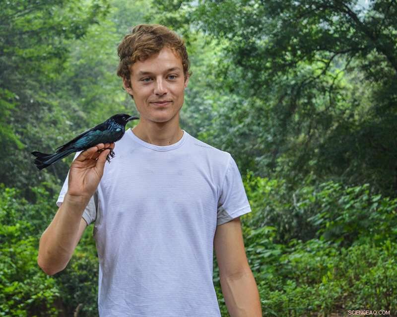 Large, Strictly Protected Areas Are Key to Effective Biodiversity Conservation