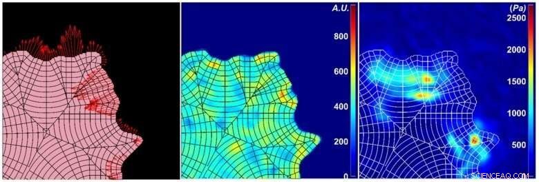 Cell Signaling and Microenvironment Sensing: A Deep Dive