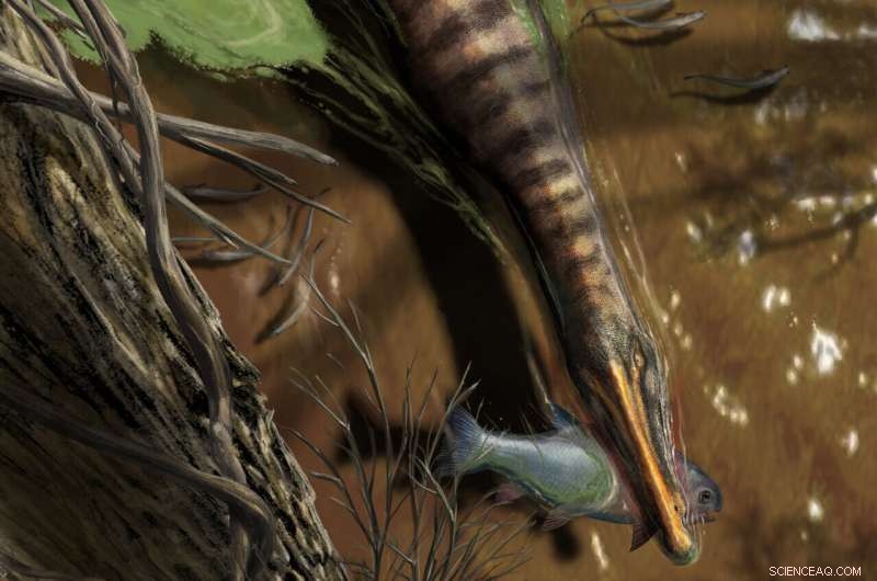 Spinosaurus Hunting: New Evidence of Underwater Capabilities