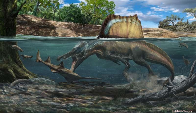 Spinosaurus Hunting: New Evidence of Underwater Capabilities