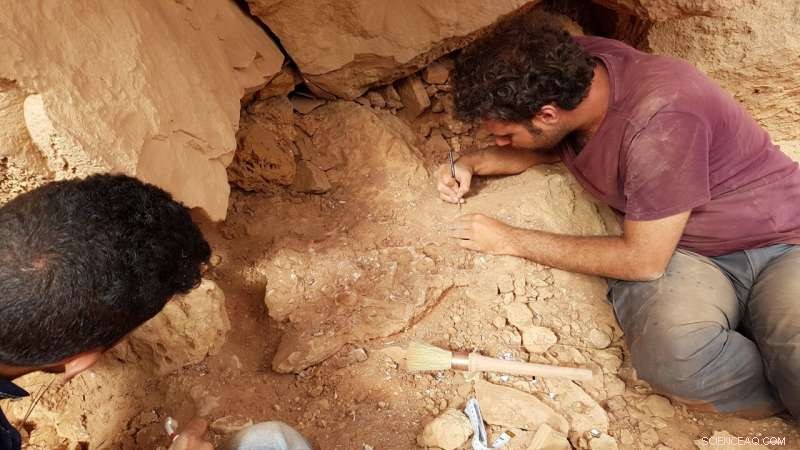 Spinosaurus Hunting: New Evidence of Underwater Capabilities