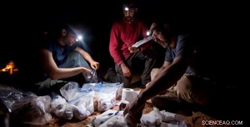 Spinosaurus Hunting: New Evidence of Underwater Capabilities