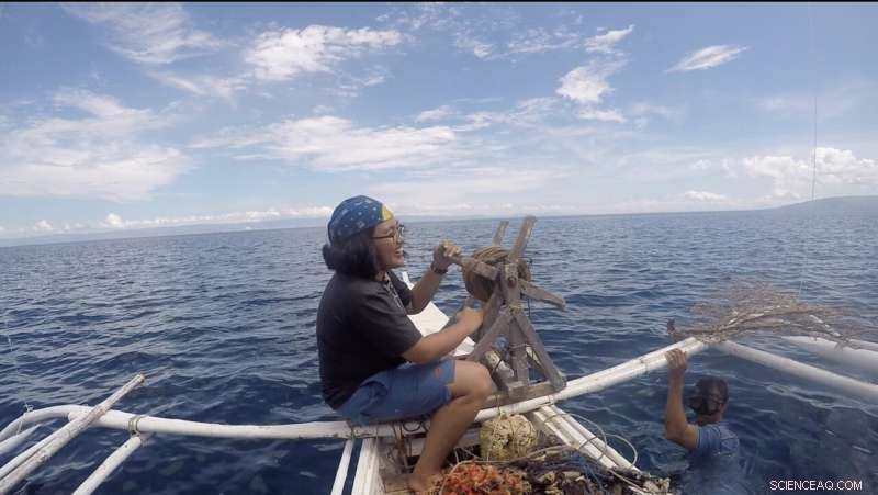 Deep-Sea Cone Snail Venom Yields Novel Pain-Relieving Compound