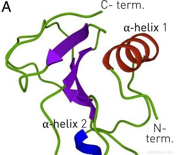 Precision Protein Folding: New Thermodynamic Insights Using Optical Tweezers