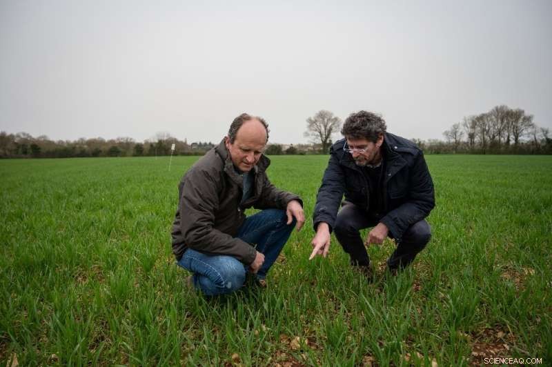 Sustainable Farming: Scientists Reduce Chemical Use & Support Farmers