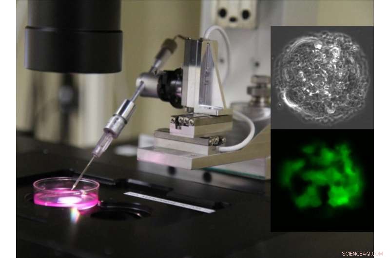 AI-Powered Cell Analysis: Advancing Personalized Medicine