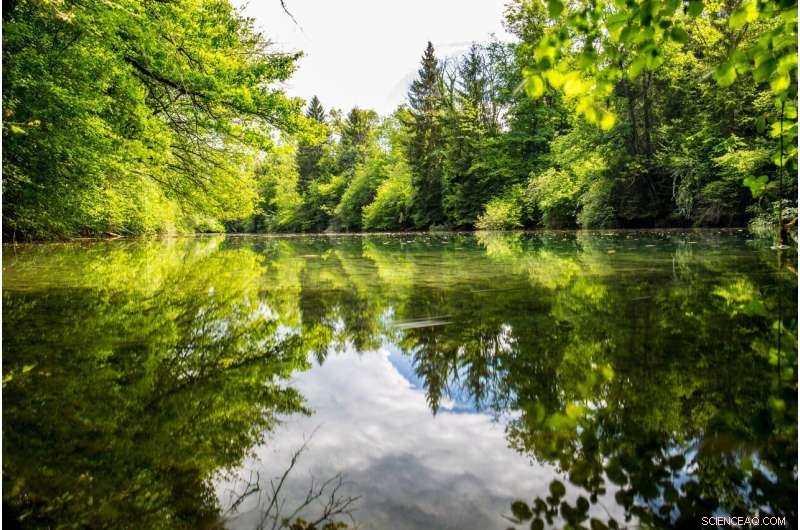 Protecting Vital Ecosystems: The Importance of Ponds & Kettle Holes