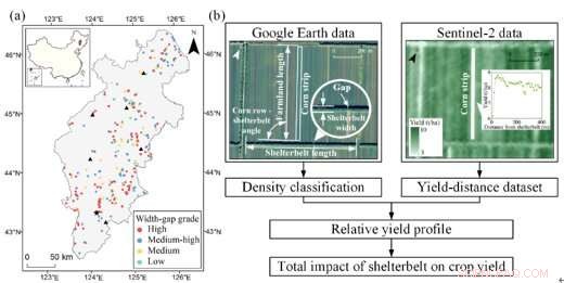 Shelterbelt Design for Increased Crop Yield: A Data-Driven Approach