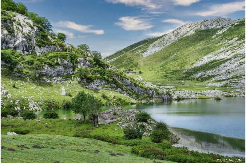 Predicting Evolution: How Geography Shapes Species  Fate