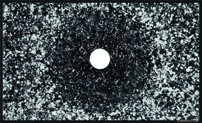 Cooperative Microbial Communities Enhance Drug Tolerance: A New Mechanism Discovered