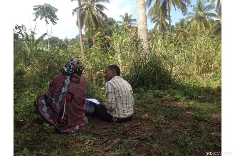 Boosting Maize Yields in Tanzania: Sustainable Fertilizer Strategies