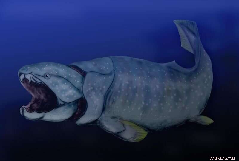 Evolution of Jaws: Strength vs. Speed in Ancient Vertebrates