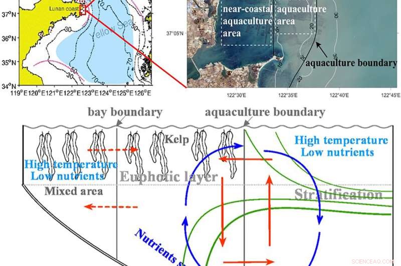Coastal Aquaculture: Reducing Nutrient Runoff in the Yellow Sea