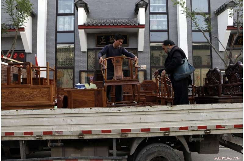 World Wildlife Conference to Highlight Iconic African Species