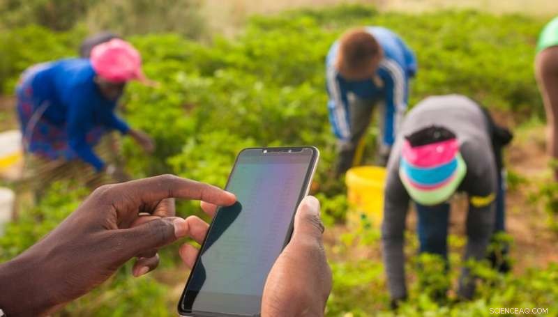 Web3 for Farmers: Empowering Data Ownership and Agricultural Innovation