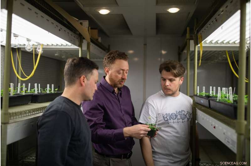 Human Impact on Evolution: New Evidence from Urban Ecosystems