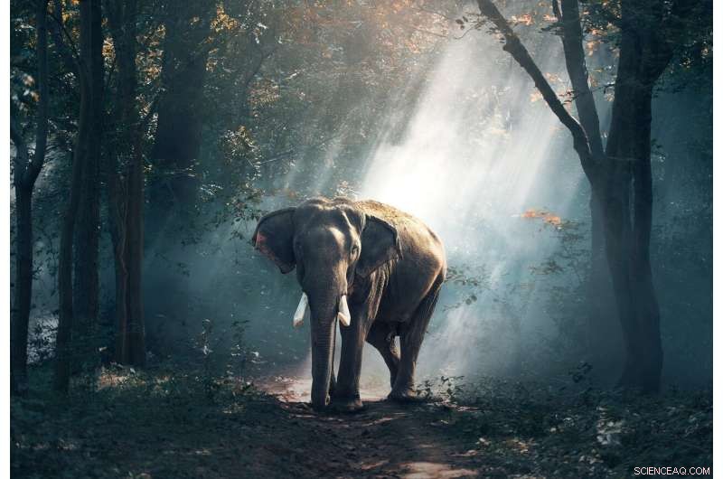 Protein Variation s Universal Impact on Life: DNA Replication & Repair