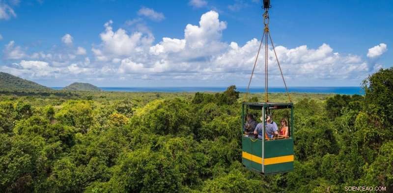 Reaching the Rainforest Canopy: Innovations in Research & Access