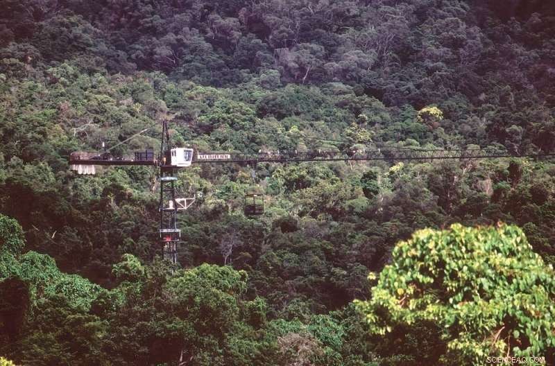 Reaching the Rainforest Canopy: Innovations in Research & Access